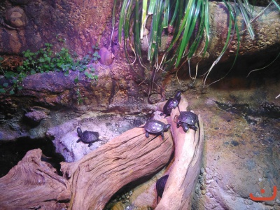 Ausflug Hannover 2016_1