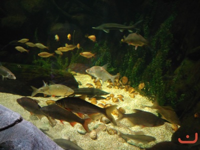 Ausflug Hannover 2016_2