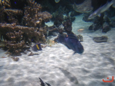 Ausflug Hannover 2016_4