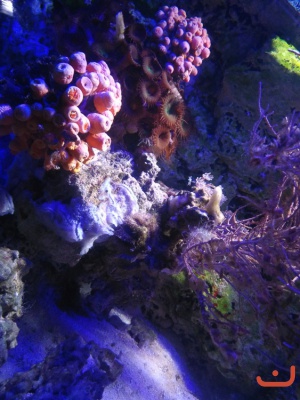 Ausflug Hannover 2016_5