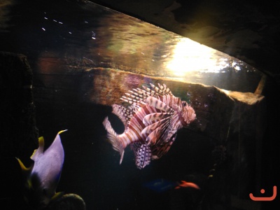 Ausflug Hannover 2016_6