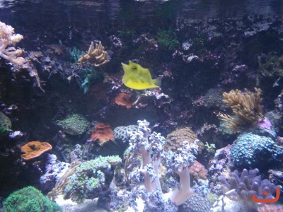 Ausflug Hannover 2016_8