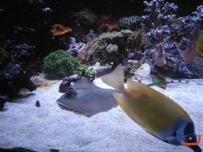 Ausflug Hannover 2016_9