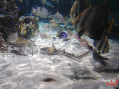 Ausflug Hannover 2016_10