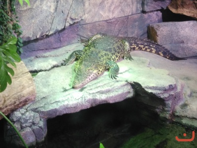 Ausflug Hannover 2016_12